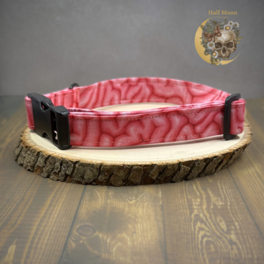 Zombies love Brainsssssss Collar